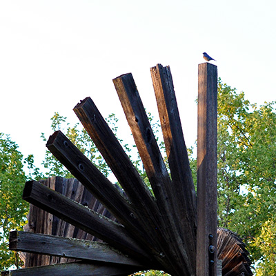 Wooden Sculpture