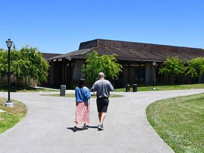 asphalt pathway between green lawns