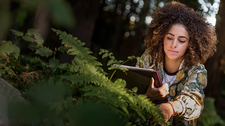 UBC is a top 10 university in the world for sustainability