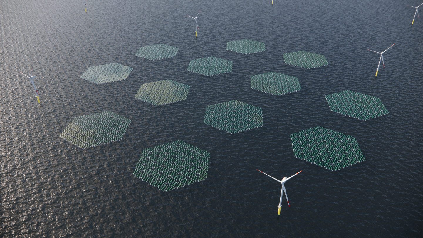 Rendering of a planned mixed renewable energy farm with SolarDuck offshore floating solar panels.