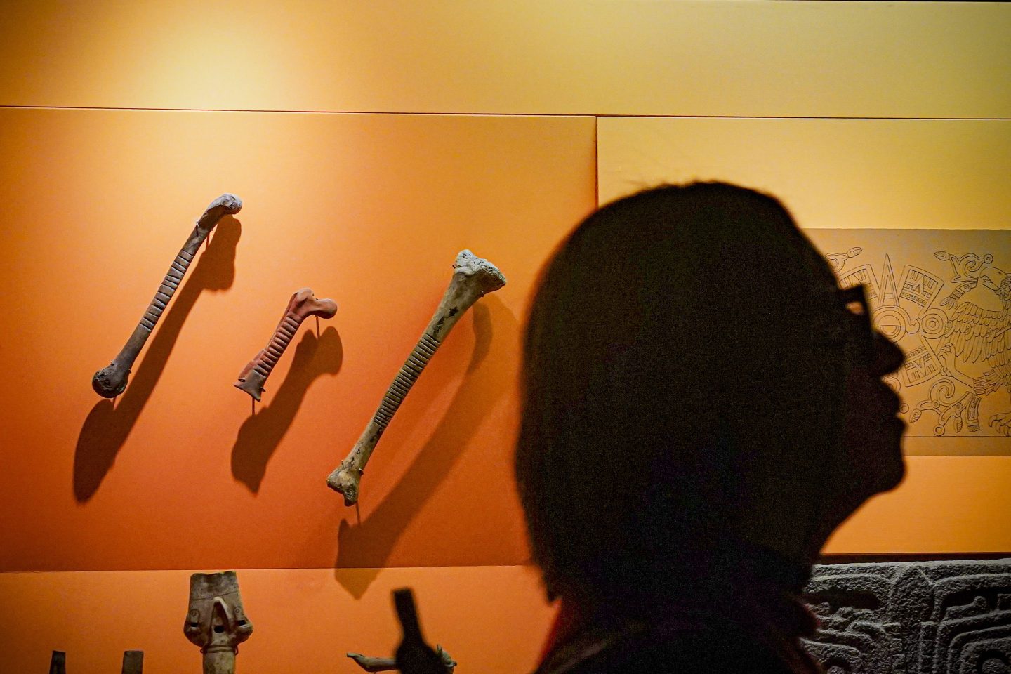 A silhouetted person next to an exhibit of bones