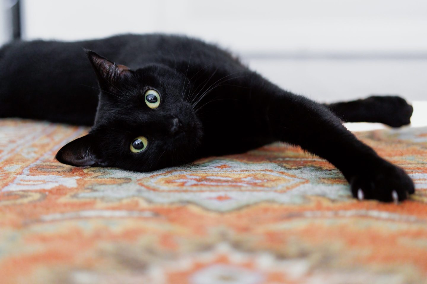 For startups and VCs, superstition isn’t just for Friday the 13th