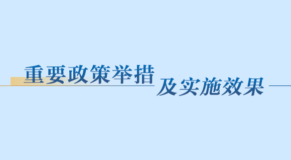 重要政策举措及实施效果