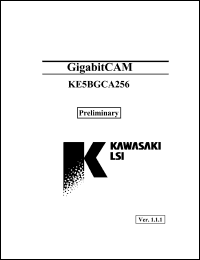 KE5BGCA256ACFP Datasheet