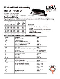 PBT91/06 Datasheet