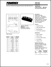 CM421655 Datasheet