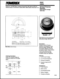 R9G02022 Datasheet