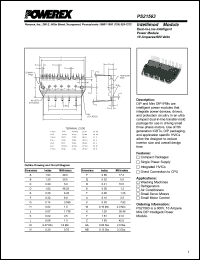 PS21553-G Datasheet