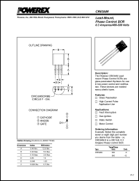 CR0300SC Datasheet