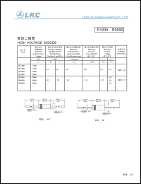 R204120 Datasheet