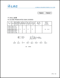 M06 Datasheet