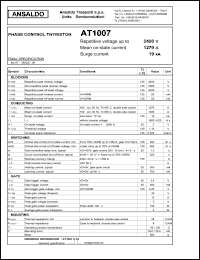 AT1004S16 Datasheet