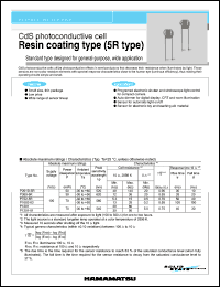 P201D-5R Datasheet