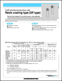 P1241-06 Datasheet