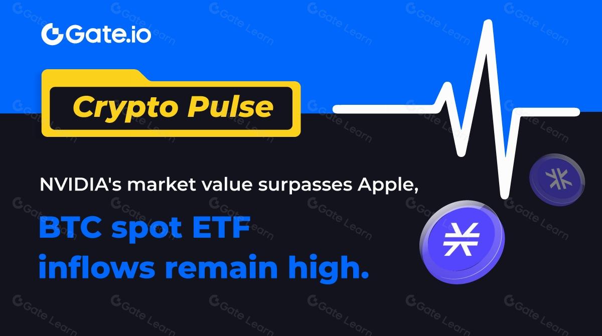 Crypto Pulse- NVIDIA's market value surpasses Apple, BTC spot ETF inflows remain high.