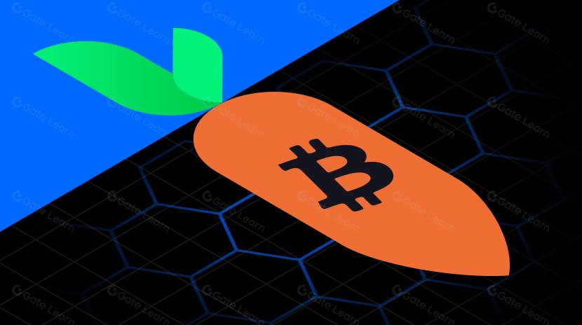 Taproot Assets: Revolutionizing Bitcoin's Blockchain Capabilities