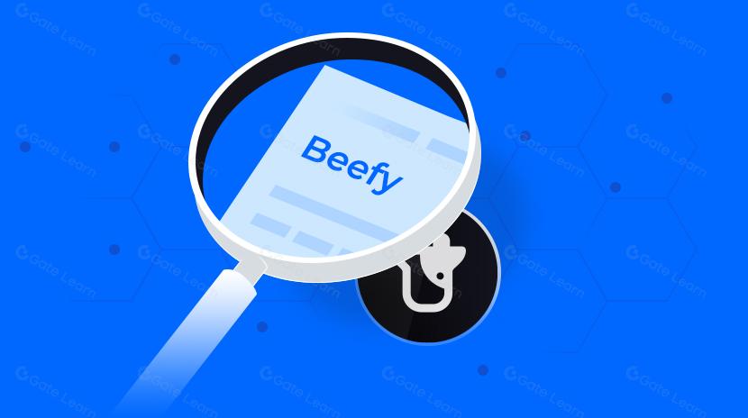 What is Beefy? All You Need to Know About BIFI