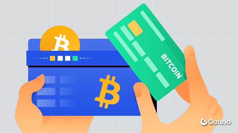 Bitcoin Wallets - Which, what, why?