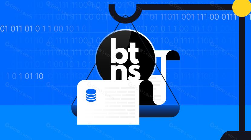 What is Broadcast Token Naming System（BTNS）?