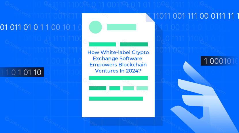 How White-label Crypto Exchange Software Empowers Blockchain Ventures In 2024?