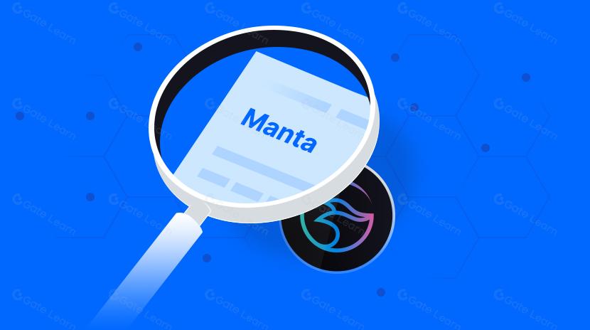  Modular blockchain becomes a market trend: Overview of Manta Network's value ecosystem project