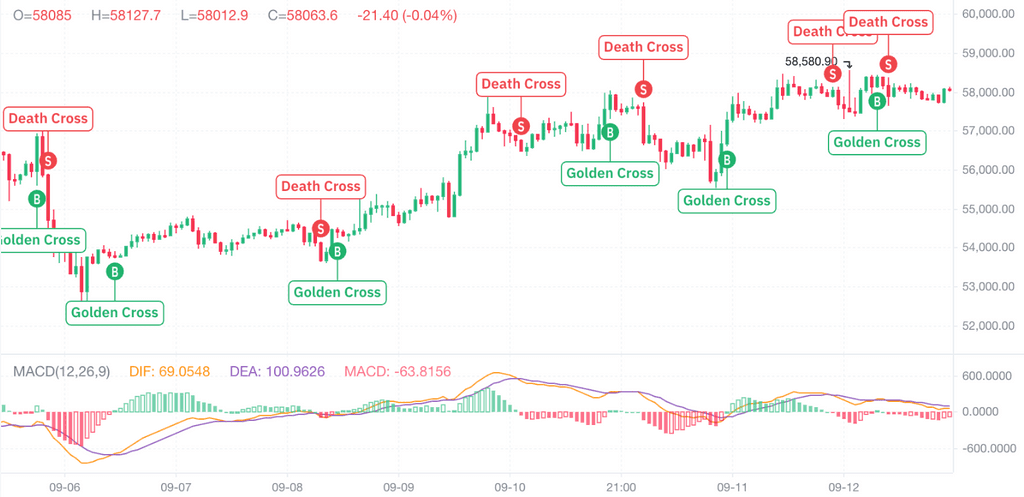 BTC Pin Bounce, is now a price bottom?