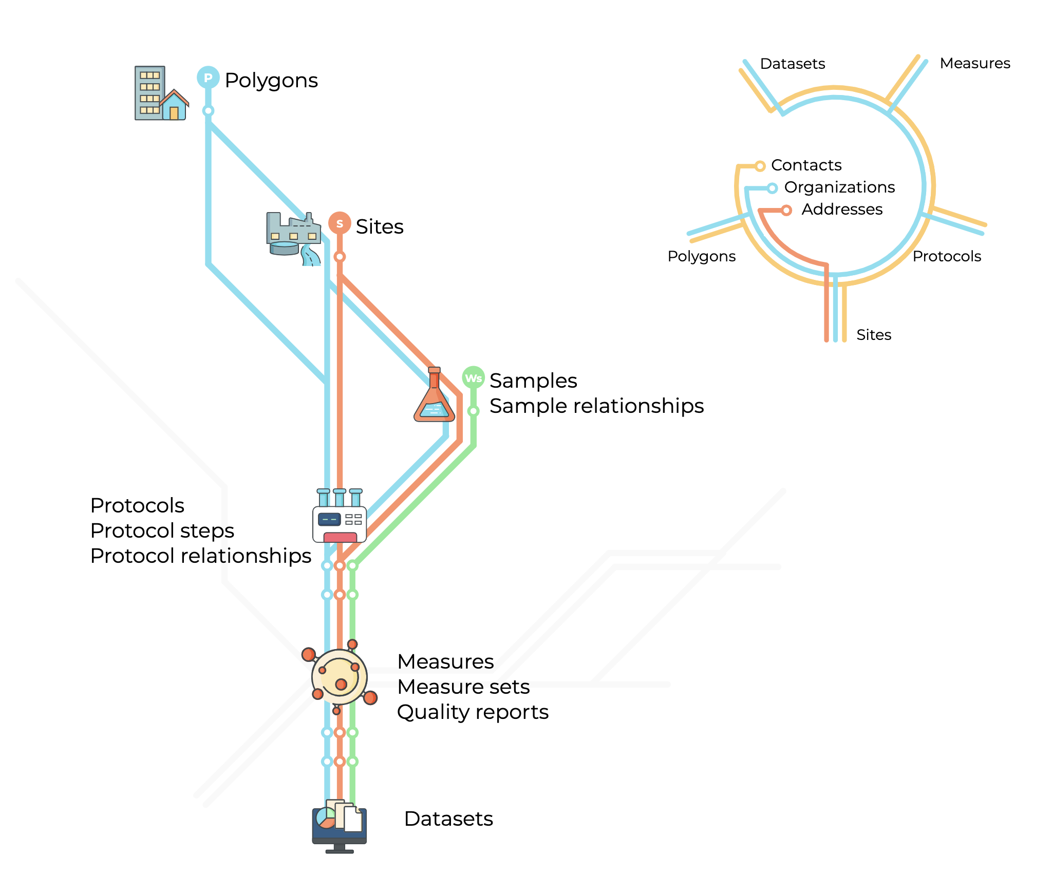 Schematic representation of the ODM