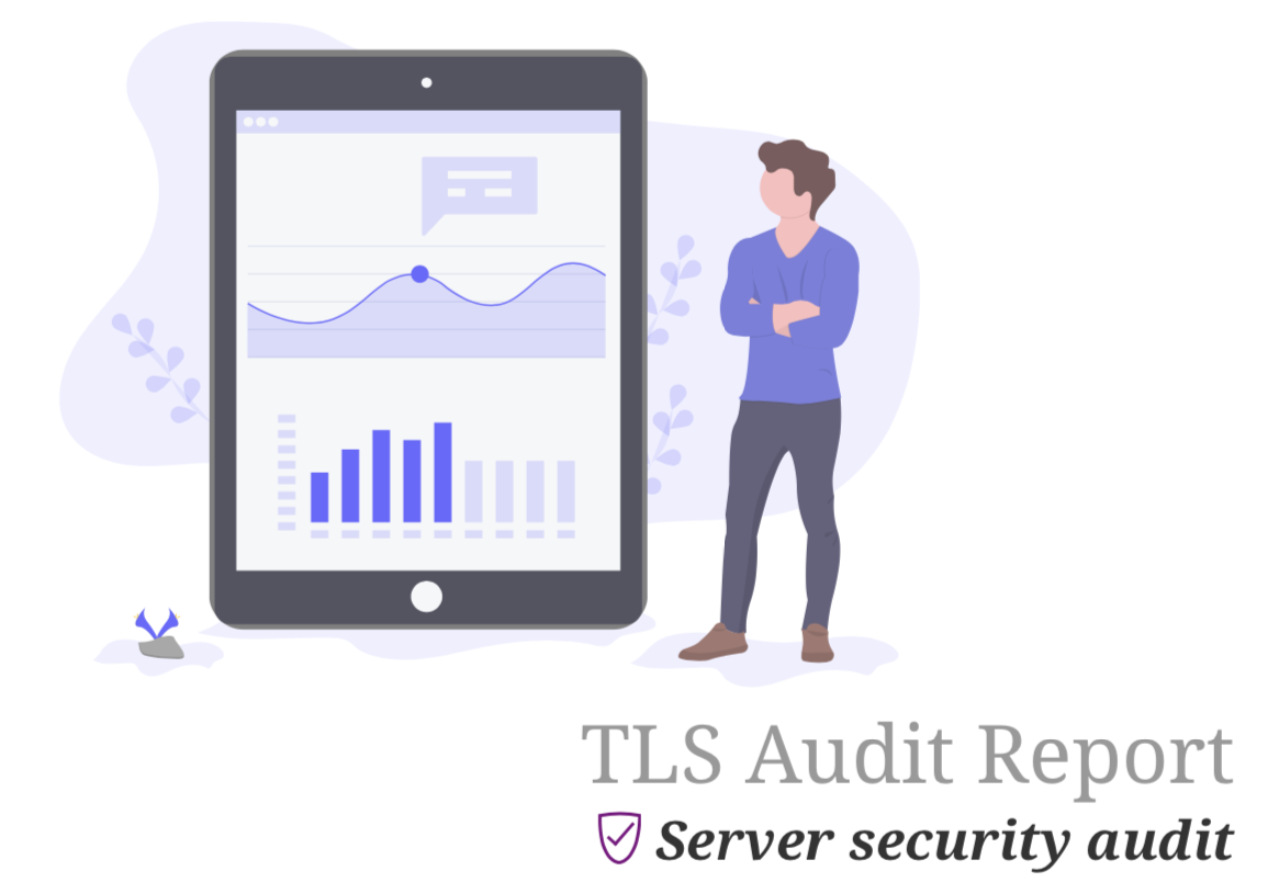 TLS Audit Reporting