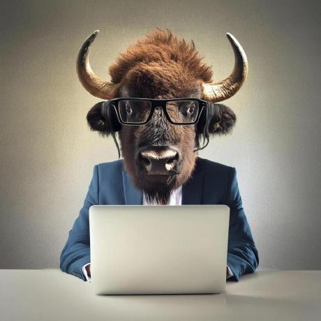 User avatar: Tim Champ