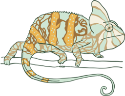 chameleon