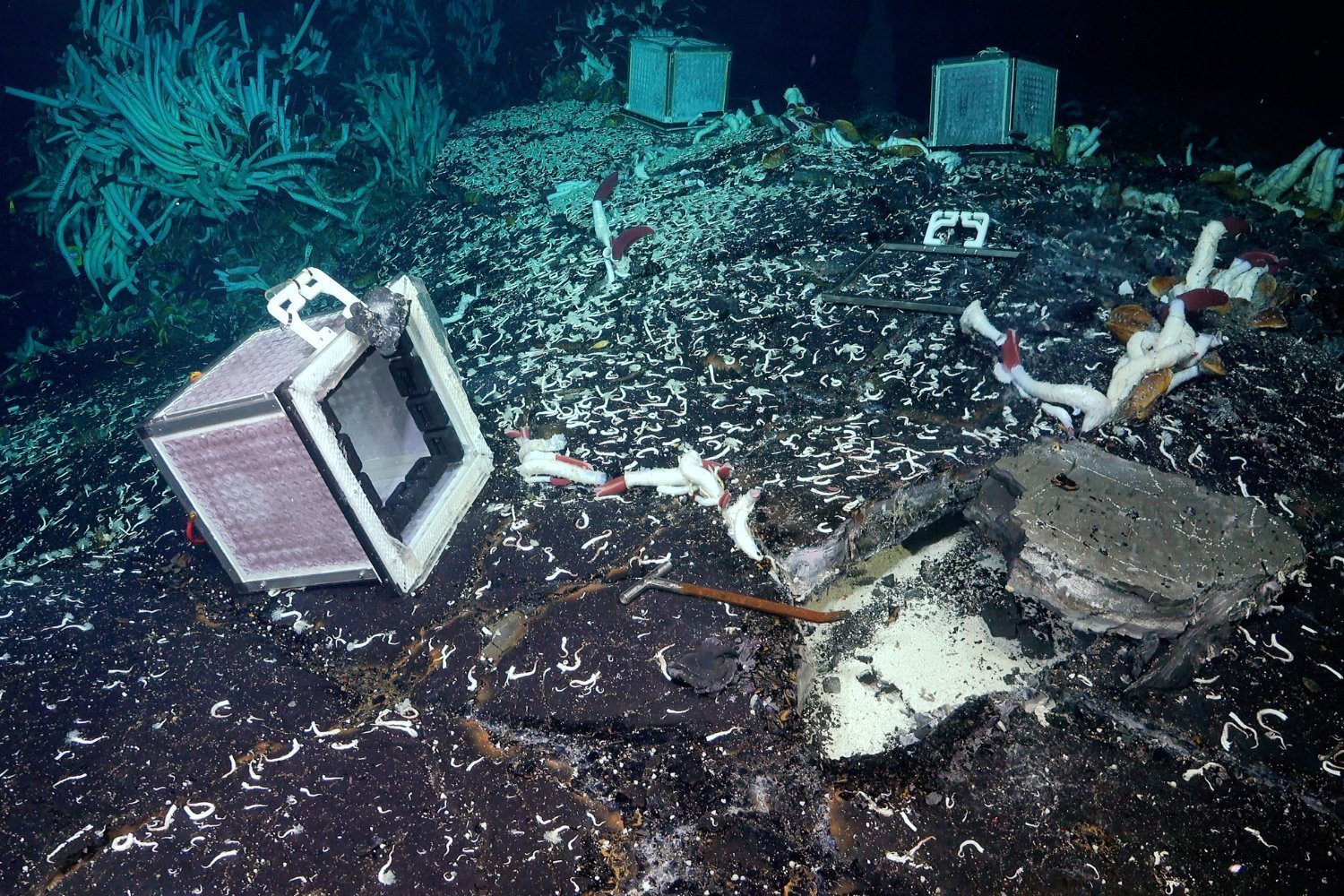 A view into the subsurface cavity near deep-sea hydrothermal vents.