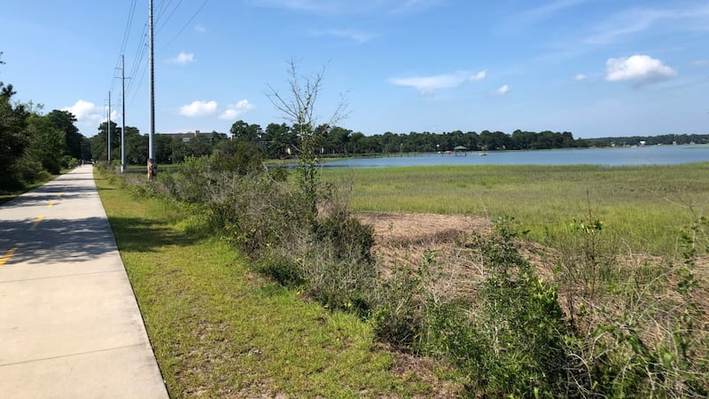 A walk on the Spanish Moss Trail is a great way to spend some time in Beaufort. The walking...