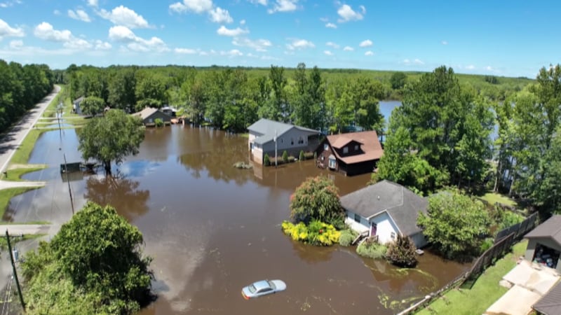 Front yards look more like ponds as Debby's heavy rainfall leads to unprecedented flooding in...