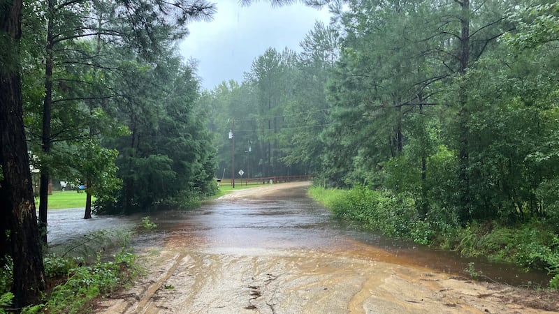 As Tropical Strom Debby moves out of Southeast Georgia, many areas are still faced with the...