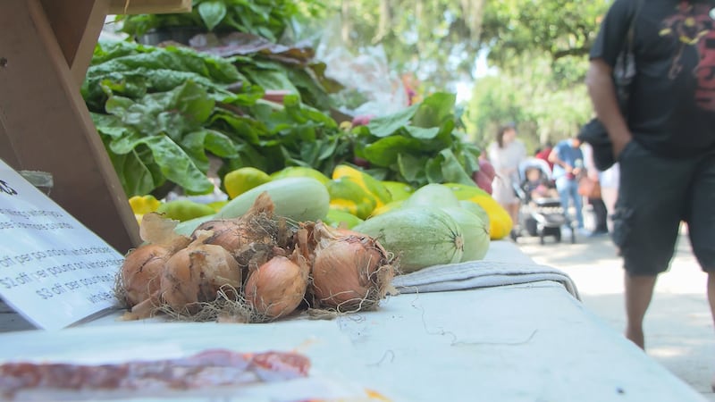 Record high flooding impacts local crops