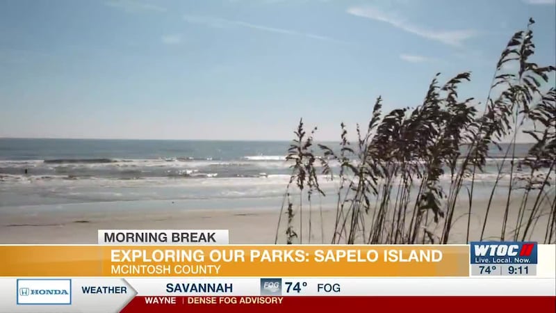 Exploring Our Parks: Sapelo Island in McIntosh County