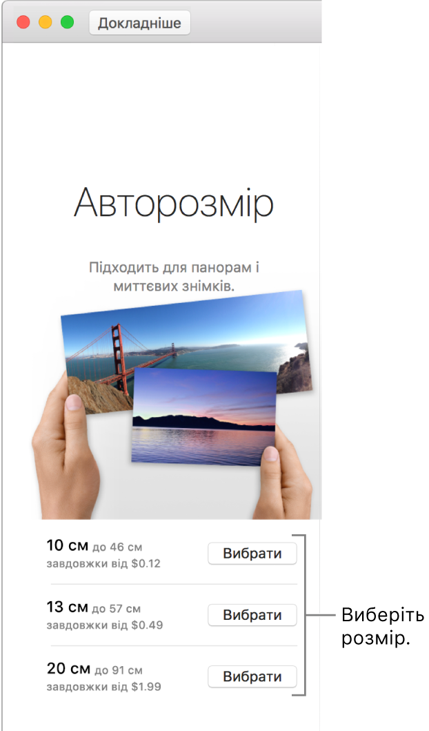Вікно з опціями розміру світлин формату «Авторозмір».