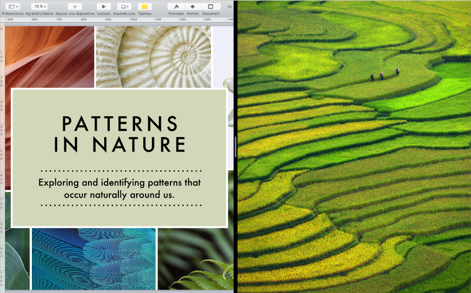 Deux apps ouvertes côte à côte en Split View.