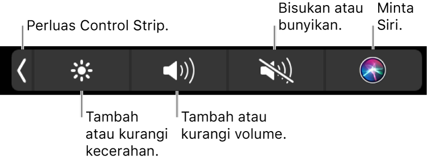 Control Strip yang diciutkan meliputi tombol—dari kiri ke kanan—untuk memperluas Control Strip, menambah dan mengurangi kecerahan layar dan volume, membisukan atau membunyikan, dan meminta Siri.