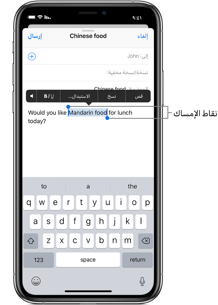 نموذج رسالة بريد إلكتروني محدد بها بعض النص. أعلى التحديد تظهر أزرار قص، ونسخ، ولصق، وعريض/مائل/تسطير، وإظهار المزيد. النص المحدد مميز، ونقاط الالتقاط على كلا الطرفين.