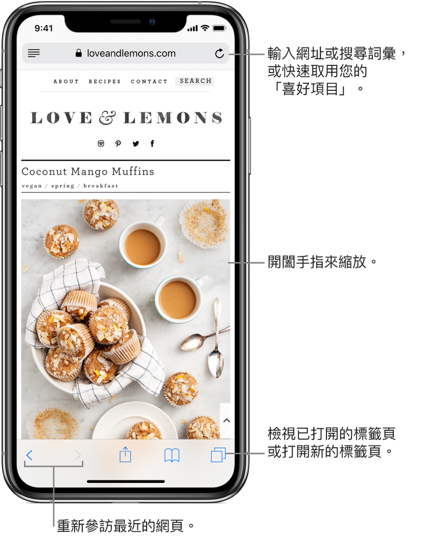 Safari 視窗中打開網站,網址欄位在最上方。底部由左至右依序為「往後」、「往前」、「分享」、「書籤」和「頁面」按鈕