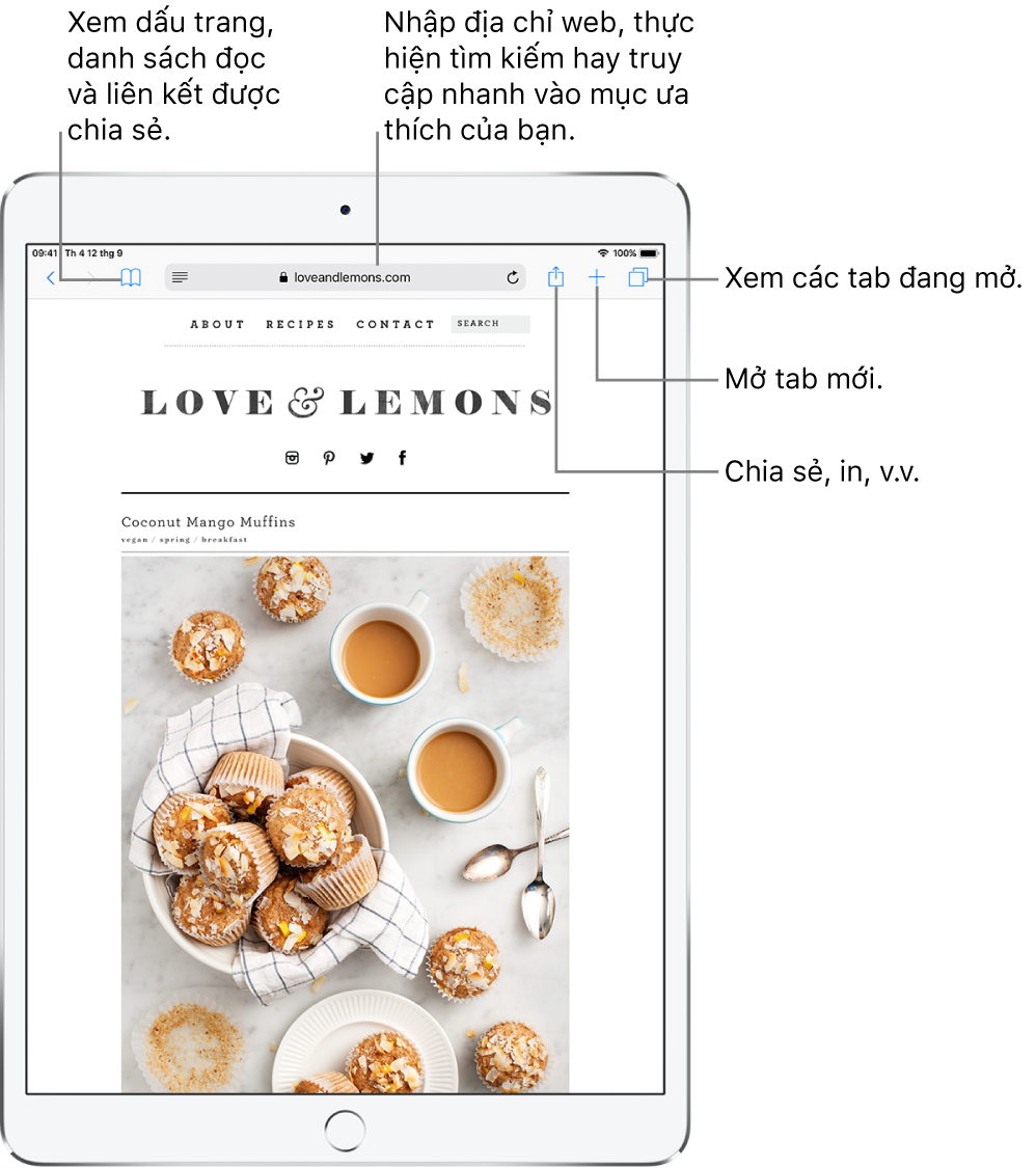 Một trang web được mở trong Safari, với các điều khiển sau đây ở trên cùng, từ trái sang phải: Các nút Quay lại, Chuyển tiếp và Dấu trang, trường địa chỉ, các nút Chia sẻ, Tab mới và Trang.