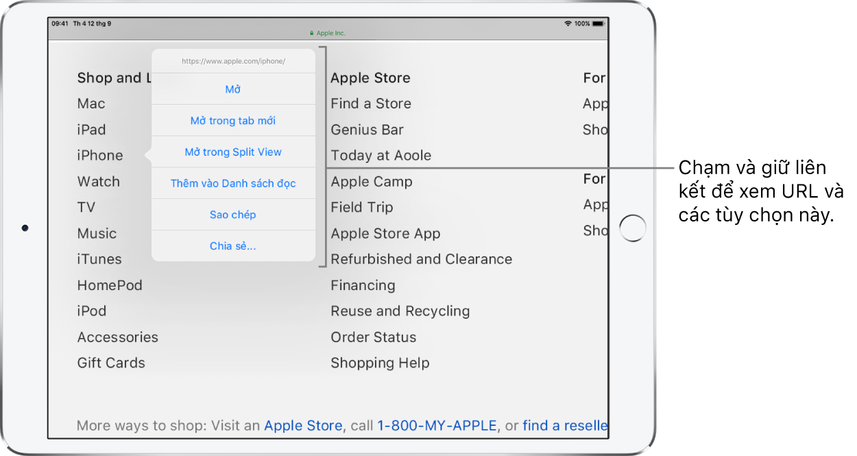 Một lớp phủ đang hiển thị địa chỉ đích và một danh sách các tác vụ có thể thực hiện: Mở, Mở trong tab mới, Mở trong Split View, Thêm vào Danh sách đọc, Sao chép hoặc Chia sẻ.
