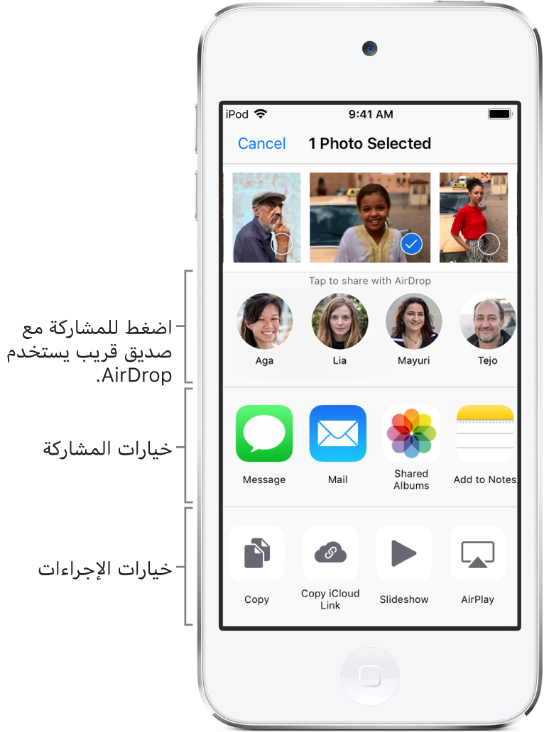 شاشة مشاركة AirDrop. في الجزء العلوي تظهر صور للتحديد والمشاركة. أسفل ذلك يظهر الأشخاص الذين يمكنك المشاركة معهم باستخدام AirDrop. في الصف التالي تظهر خيارات المشاركة، وتشمل الرسالة والبريد والألبومات المشتركة والمزيد. الصف السفلي تظهر به الإجراءات الأخرى، بما في ذلك نسخ الرابط وعرض الشرائح وإضافة إلى الألبوم.