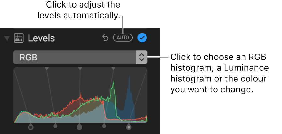 The Levels controls with the Auto button at the top right.