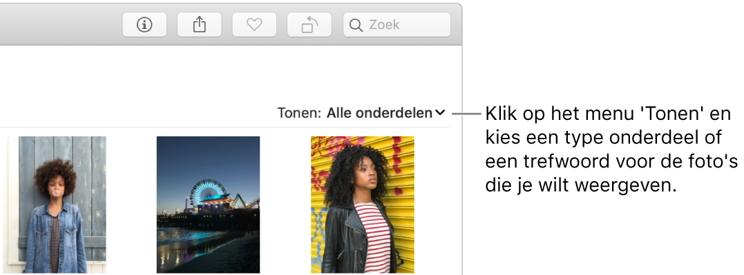 Het venstermenu 'Tonen' waarin alle onderdelen worden weergegeven.