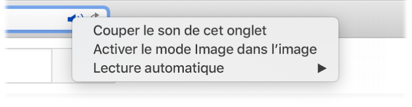 Le sous-menu de l’icône Audio avec les éléments « Couper le son de cet onglet », « Entrer dans Image dans l’image » et « Lecture automatique ».
