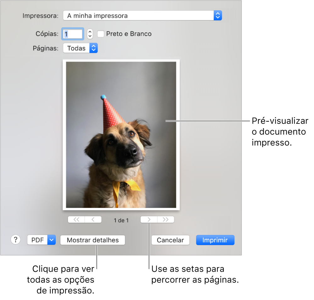 Os ícones no menu pop-up Impressora indicam o estado da impressora. A caixa de diálogo Imprimir apresenta uma pequena pré-visualização dos seus trabalhos de impressão. Para ver as opções de impressão, clique em “Mostrar detalhes”.