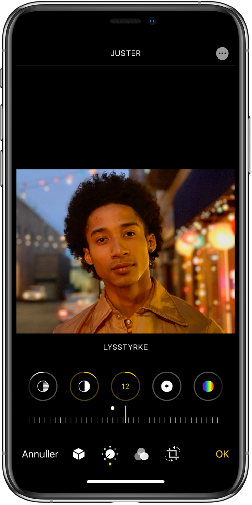 Skærmen Rediger med et foto i midten. Under fotoet er der knapper til redigering af Glanslys, Skygger, Lysstyrke, Sortpunkt og Mætning. Lysstyrke er valgt. Under redigeringsknapperne er der et mærke til at justere niveauet for Lysstyrke. Fra venstre mod højre under mærket findes knapperne Annuller, Portræt, Filtre, Beskær og OK. Knappen Flere muligheder er placeret i øverste højre hjørne.
