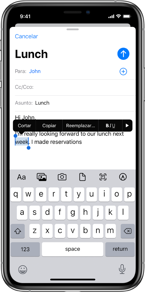 Mensaje de correo electrónico de ejemplo con parte del texto seleccionado. Encima de la selección están los botones Cortar, Copiar, Pegar, Negrita/Cursiva/Subrayado y “Mostrar más”. El texto seleccionado está resaltado y presenta puntos de selección en ambos extremos.
